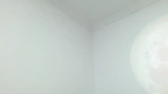 Noah_jhonsonn