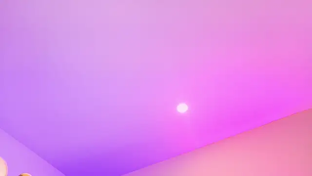 Nascary_Fox webcam