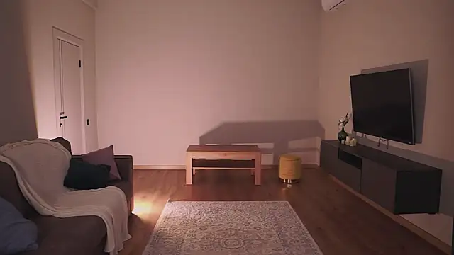 AdaBell webcam