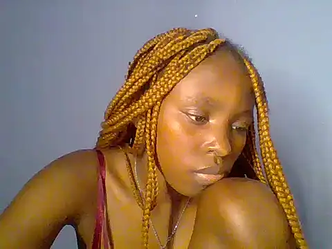 Chocolate-brownie webcam