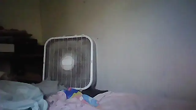 starlight1983 live cam on StripChat