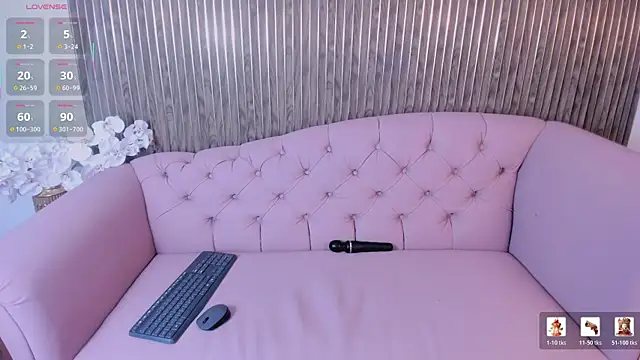 Lua_Foxy webcam
