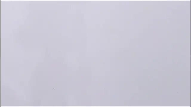 valentinasu webcam