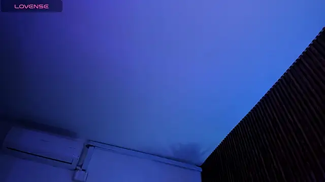 _Cherry_fox webcam