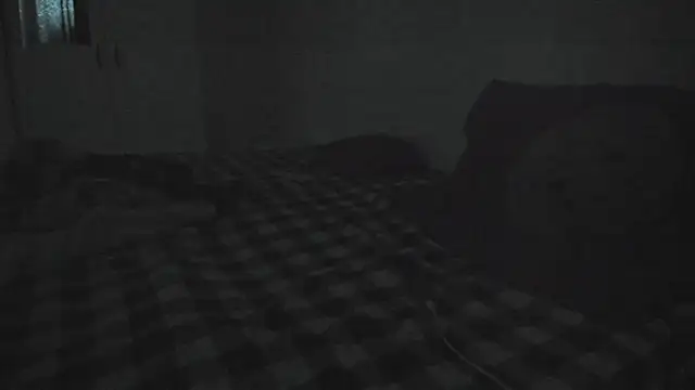 wetladyjoy webcam