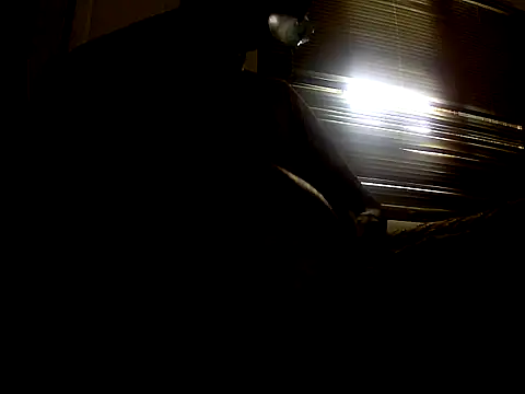 afiak webcam