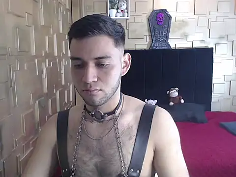 omar202612 webcam