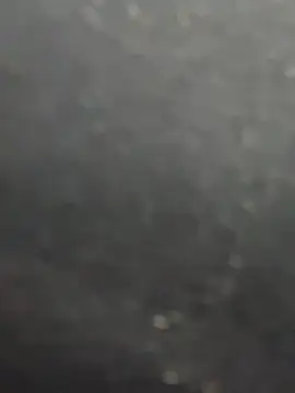 Sara-77 webcam