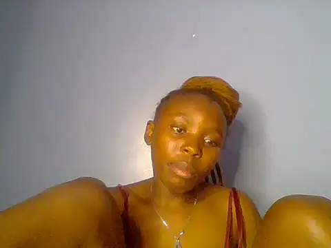 Chocolate-brownie webcam