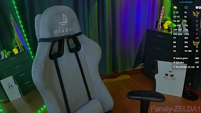 zelda_1 webcam