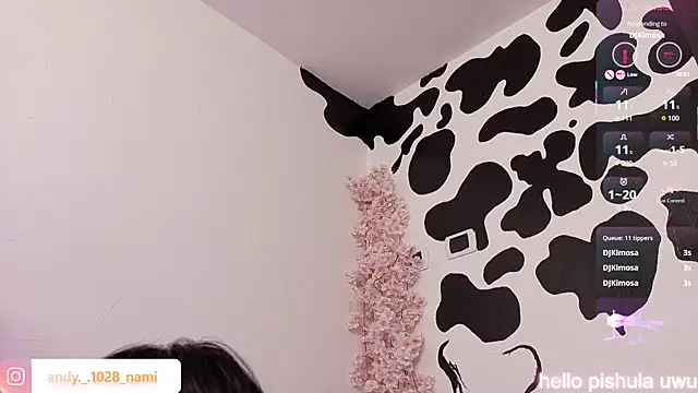 Nami_usagi webcam