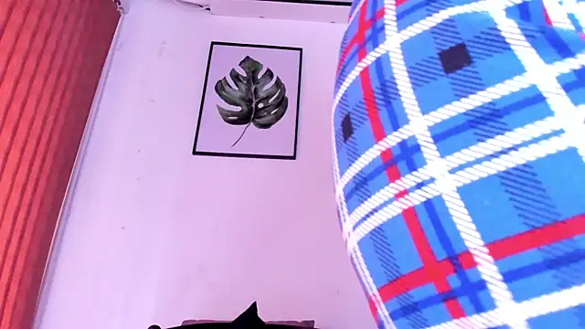 alondrabigtits webcam