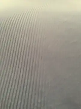 La-Gatiita-trans webcam