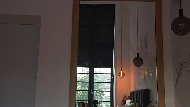 ibiddi webcam