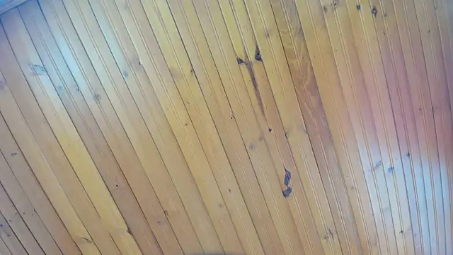 AyameFoxy