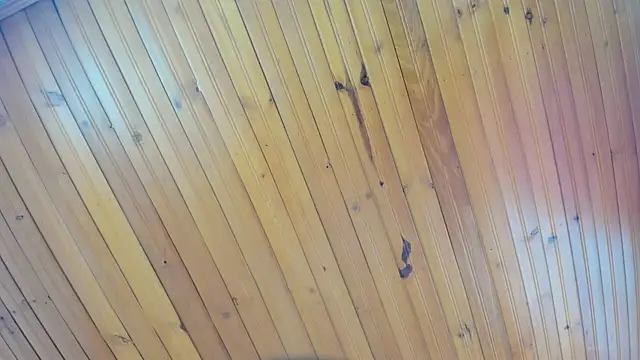 AyameFoxy webcam