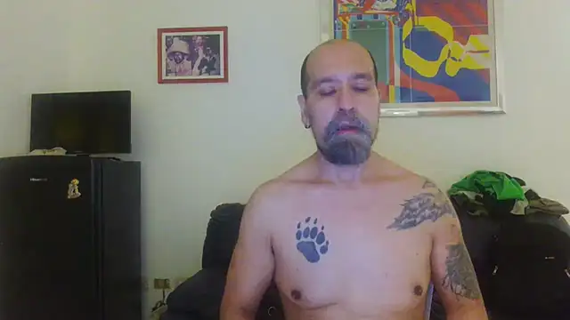 AMIRDIB2025 live cam on StripChat