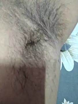 honbok live cam on StripChat