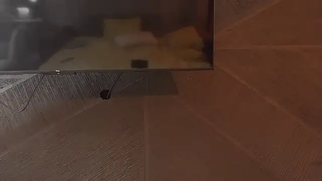 izi-fox live cam