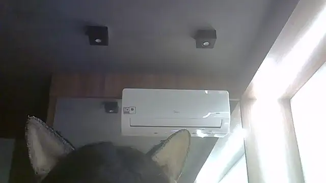 SkinnyKitten webcam