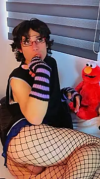 LittleTymmy webcam