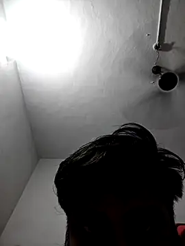 honbok webcam