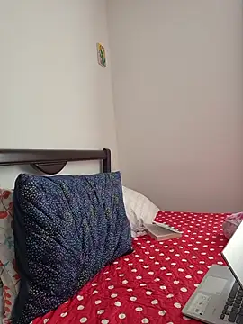 IrisBound webcam