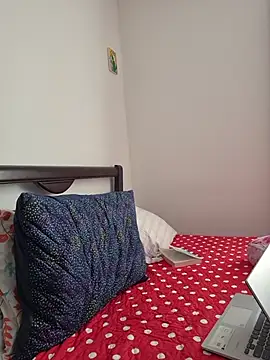 IrisBound webcam