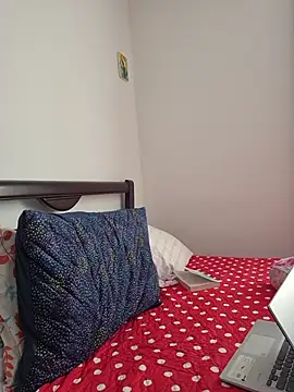 IrisBound webcam