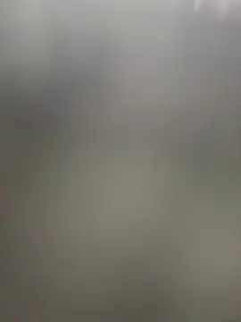 Ann_Houston_ webcam