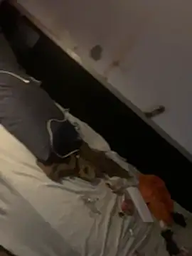 crisfootlicker