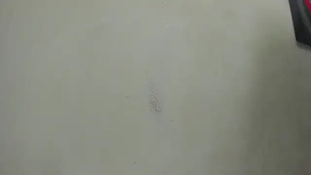 Allison_star1 webcam