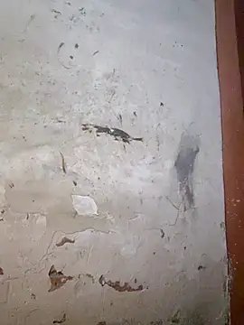 Itsraniarti webcam