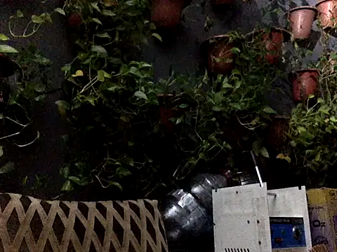 eddy_888 webcam