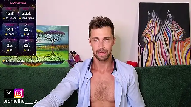 Promethe_us webcam