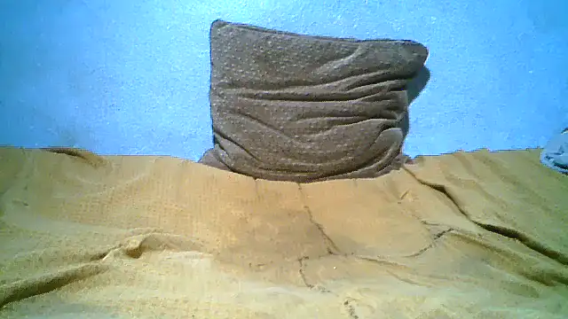 little__joy webcam