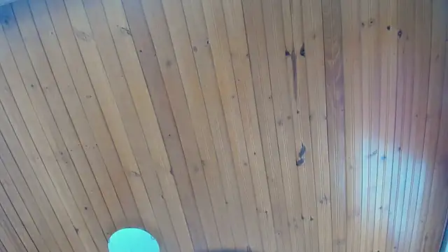 AyameFoxy webcam