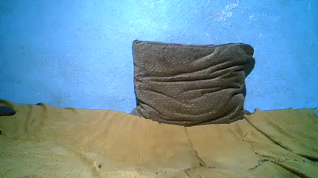 little__joy webcam