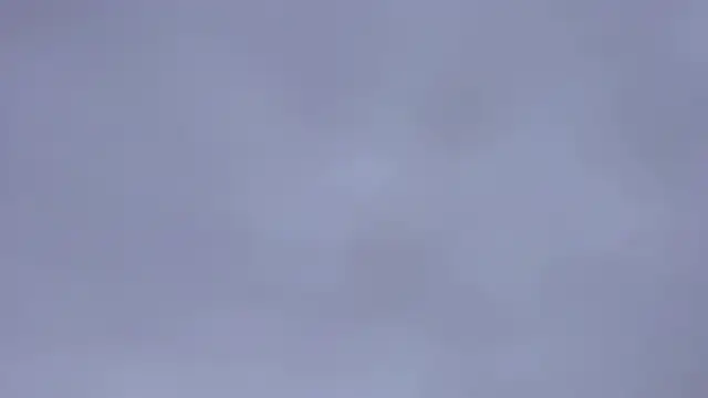 Dani_Cute_Trans webcam