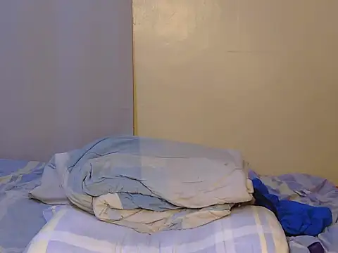 Pretikesi webcam