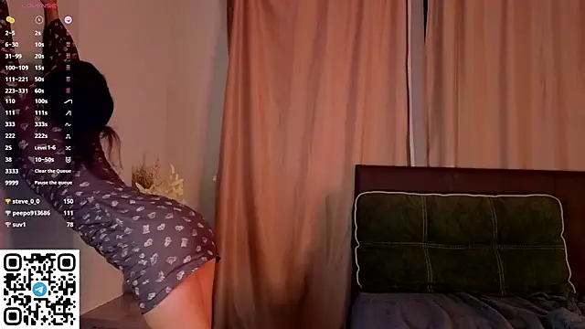 NerixalVire webcam