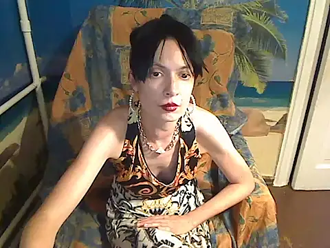Bastet12 webcam