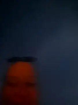 Priselvis live cam on StripChat