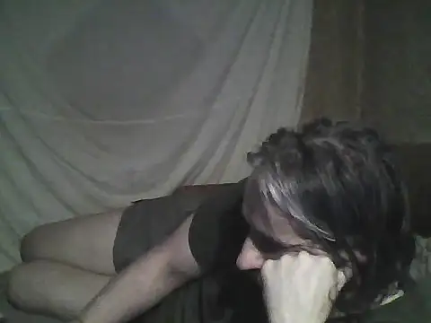 -TrafoX3- webcam