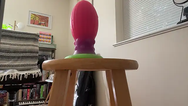 Prolapse_Pig webcam
