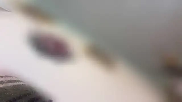Jacody webcam