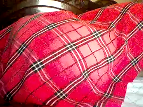 missarpie webcam