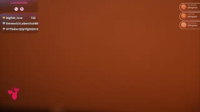 Bogduzi webcam