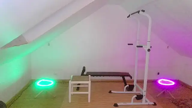 NinjaLaser webcam