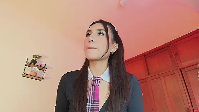 soycamill webcam
